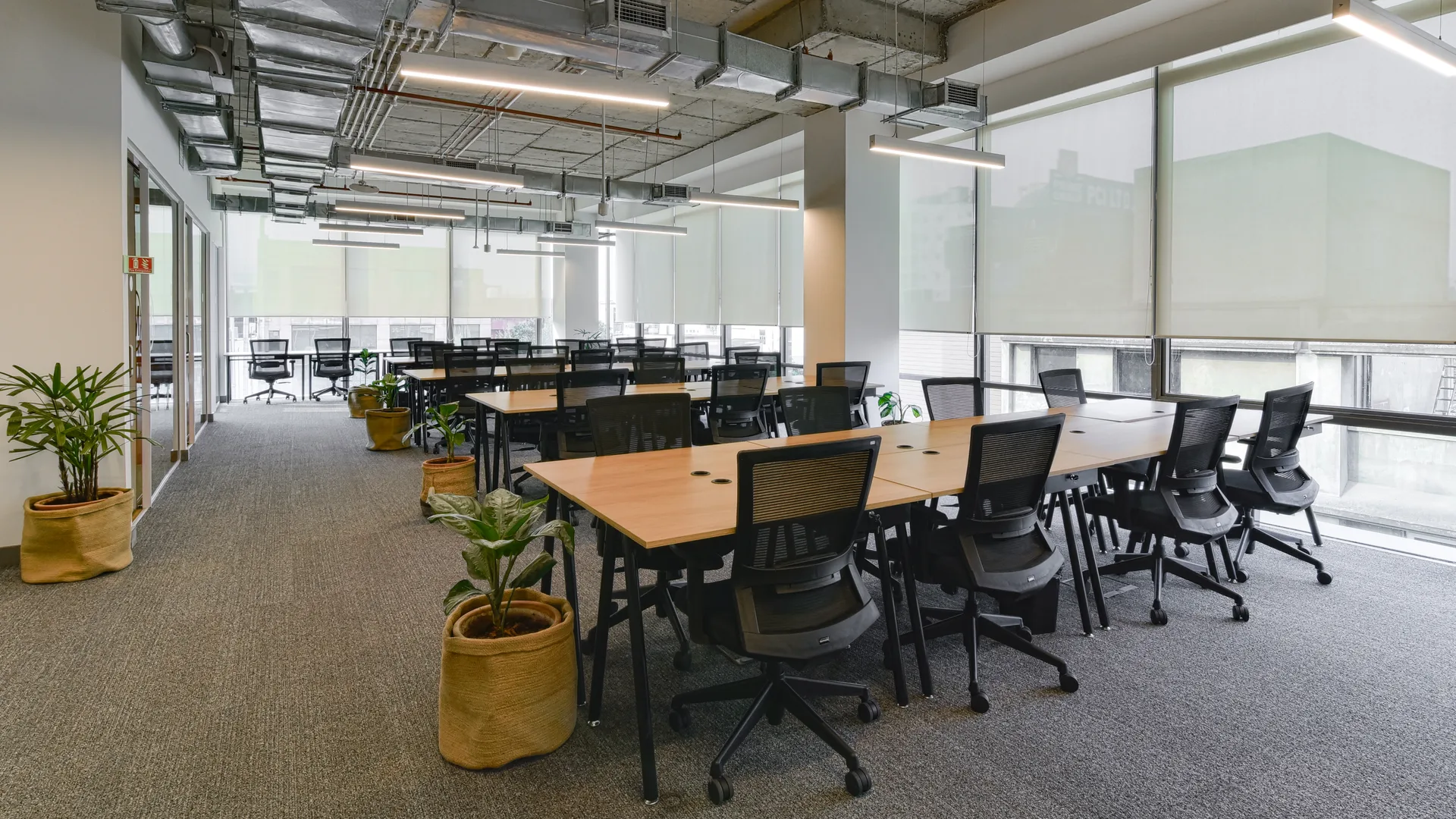 Vi-John Tower, WeWork