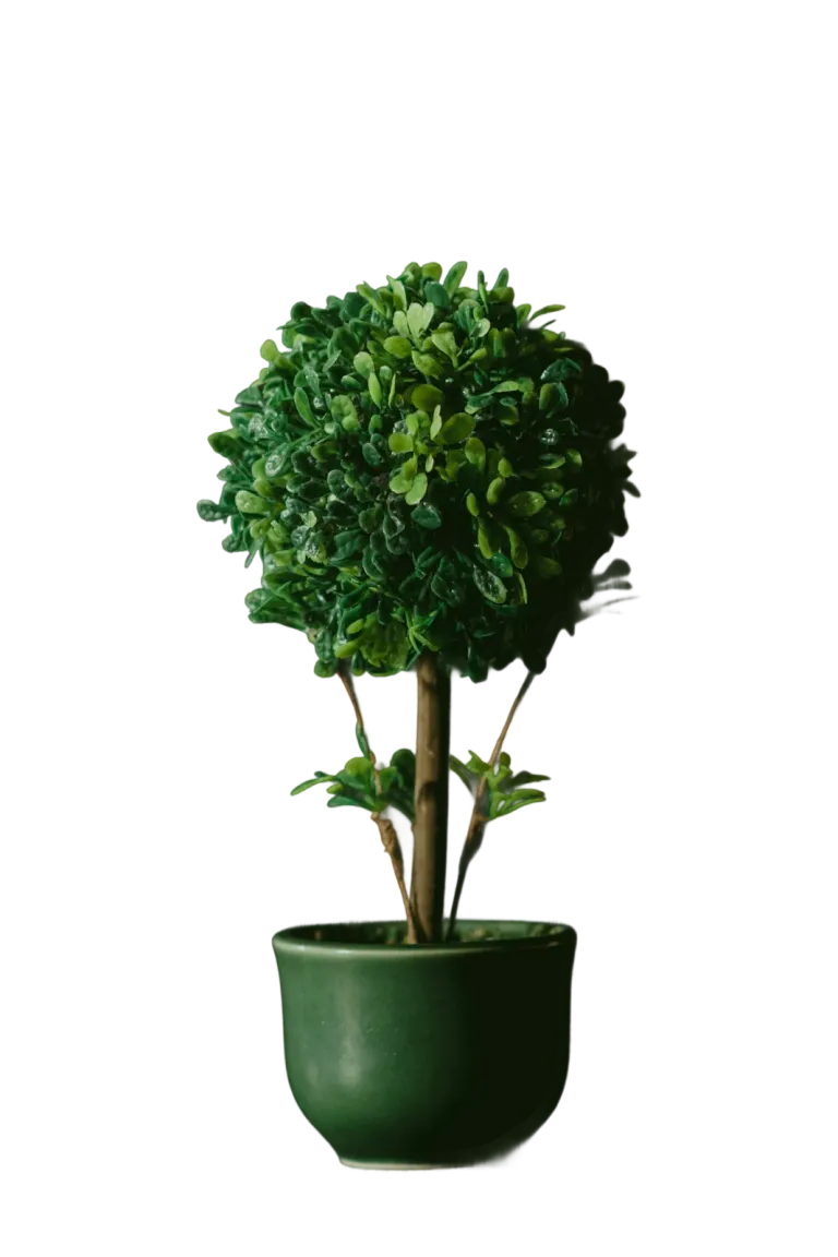 Custom greenage